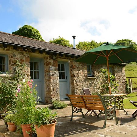 Dandelion Cottage, แอมรอธ ภายนอก รูปภาพ