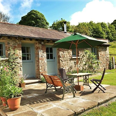 Dandelion Cottage, แอมรอธ ภายนอก รูปภาพ