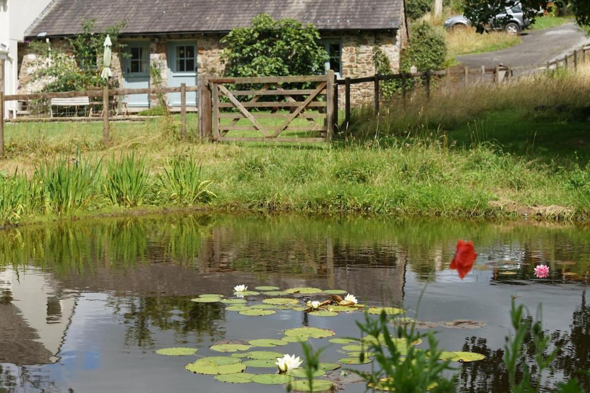 Dandelion Cottage, แอมรอธ ภายนอก รูปภาพ