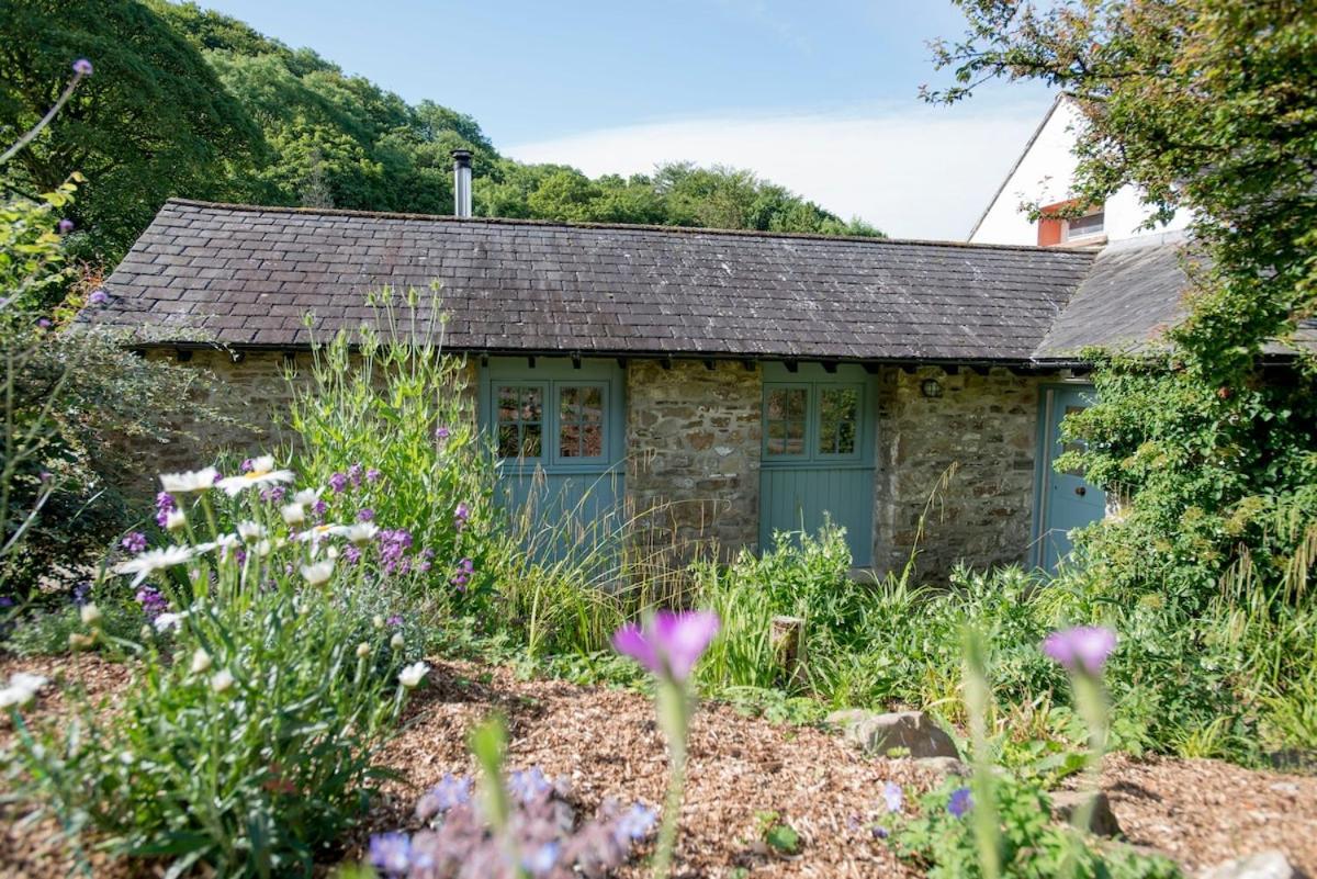Dandelion Cottage, แอมรอธ ภายนอก รูปภาพ