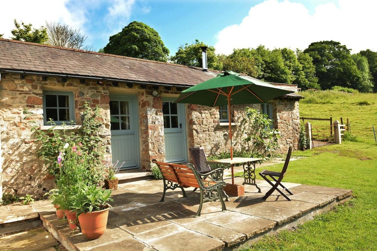 Dandelion Cottage, แอมรอธ ภายนอก รูปภาพ